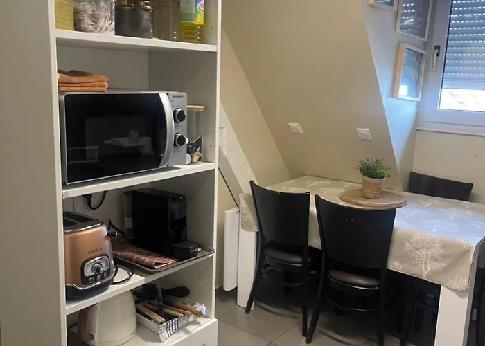 F1 Meuble Lejlighed Illkirch-Graffenstaden