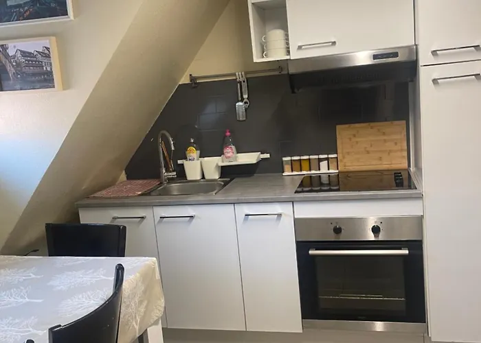 Lejlighed F1 Meuble Illkirch-Graffenstaden